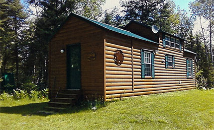 Cabin For Sale