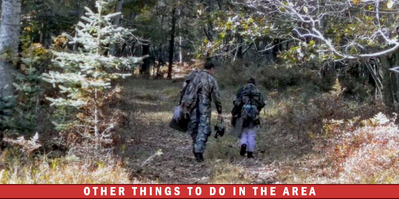 Other Things To Do In The Area